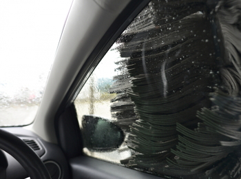 洗車機のブラシの種類にも注目しよう